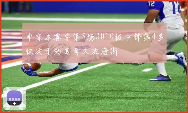 申京本赛季第5场3010板中锋第4多仅次于约基奇文班唐斯