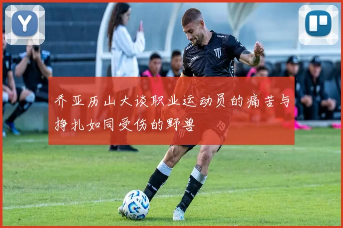 乔亚历山大谈职业运动员的痛苦与挣扎如同受伤的野兽